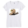 Bella Women's V-Neck T-Shirt Thumbnail