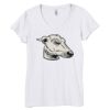 Bella Women's V-Neck T-Shirt Thumbnail