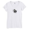 Bella Women's V-Neck T-Shirt Thumbnail