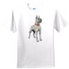 Gildan Ultra Cotton Youth 100% Cotton T Shirt Thumbnail